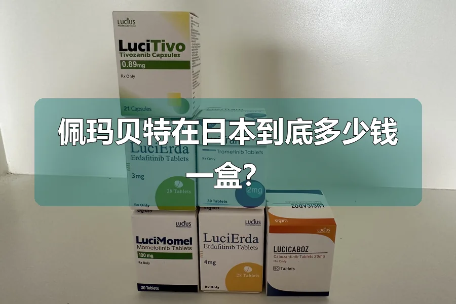 佩玛贝特在日本到底多少钱一盒？